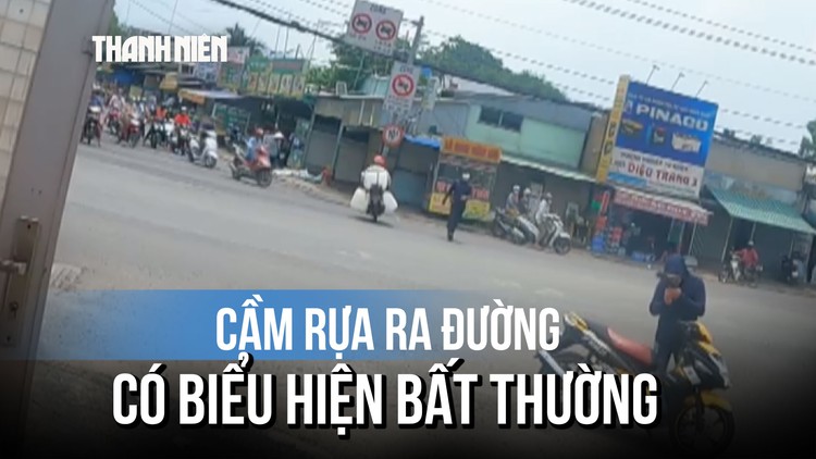 Khống chế người cầm rựa định tấn công thanh niên xung phong