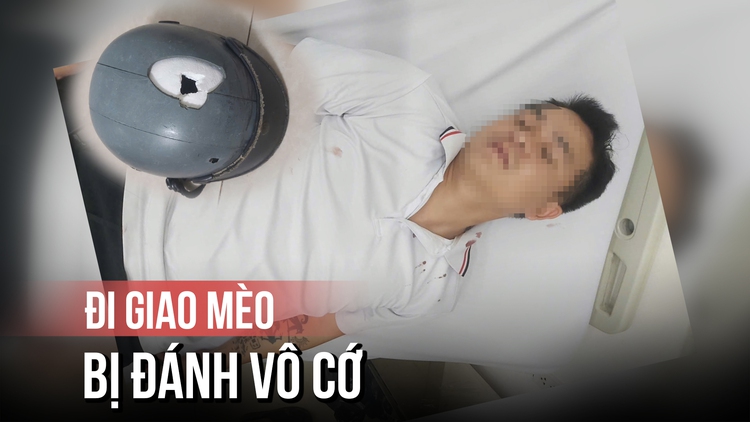 Đi giao mèo, bị người đàn ông lạ tấn công vô cớ