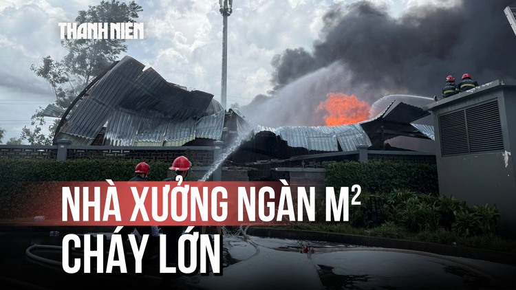 Cháy lớn nhà xưởng giữa khu dân cư tại TP.HCM, người dân hoảng hốt