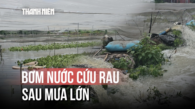 Máy bơm chạy hết công suất cứu vườn rau ngập úng ở TP.HCM