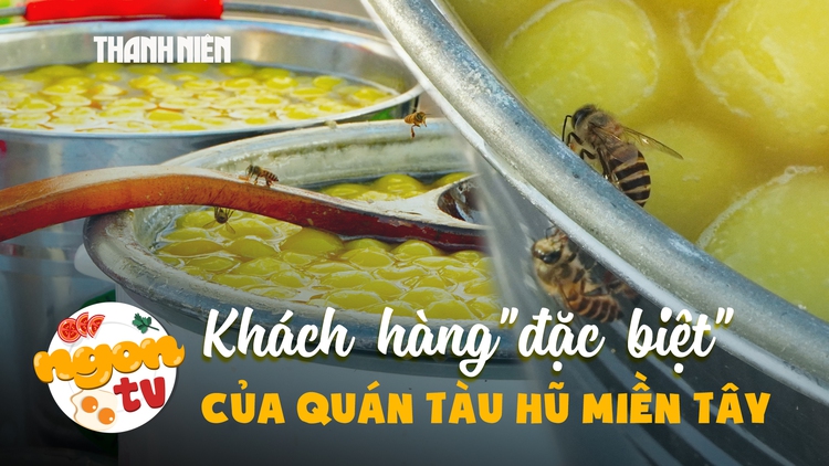 Bầy ong 'mở hàng' quán tàu hũ miền Tây: Cộng tác viên dự báo thời tiết