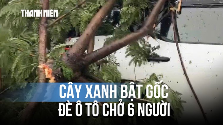 Hoảng hồn cây xanh bật gốc đè ô tô chở 6 người, có cụ ông 85 tuổi