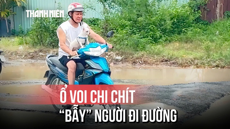 TP.HCM: Hết hồn với 'ổ voi' ngay trong khu dân cư