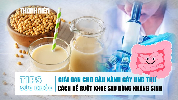 Bản tin sức khỏe ngày 1.10: Giải oan cho đậu nành gây ung thư | Làm sao để ruột khỏe sau khi dùng kháng sinh?