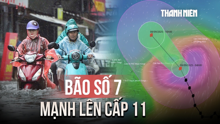 Bão số 7 (Tapah) mạnh lên cấp 11, miền Bắc có nơi mưa lớn trên 300 mm