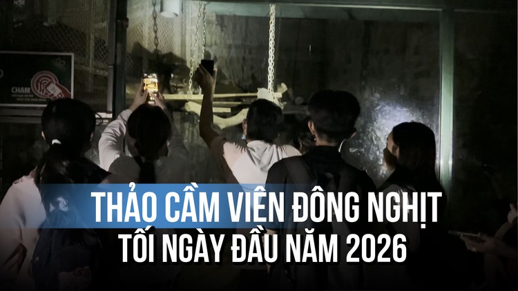 Miễn vé vào cổng chiều tối, đông nghịt người vào Thảo Cầm Viên soi đèn để...
