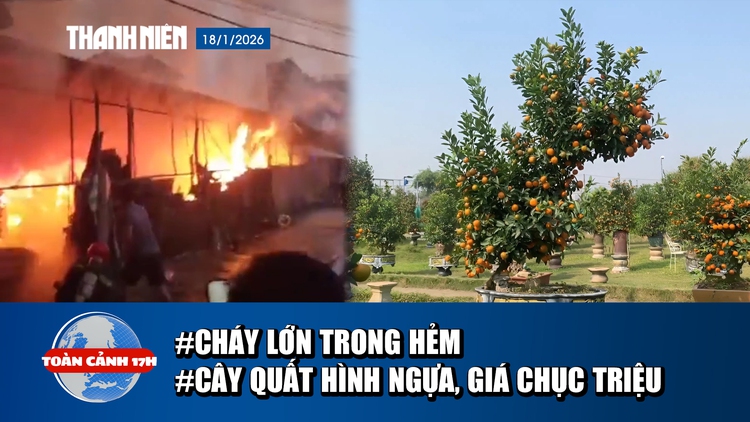 Toàn cảnh 17h: Cháy lớn trong hẻm, cư dân hoảng loạn | Chiêm ngưỡng cây quất hình con ngựa giá chục triệu