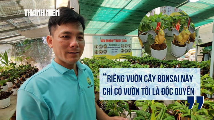 Tết Bính Ngọ 2026: Độc đáo dừa bonsai tạo hình linh vật ngựa