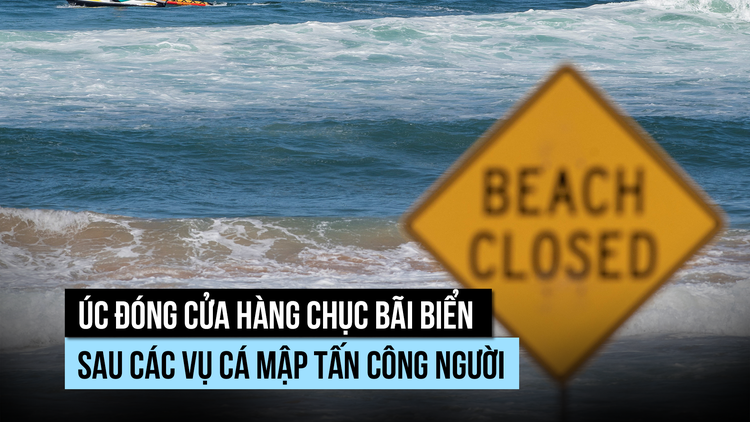 Úc phải đóng cửa hàng chục bãi biển vì cá mập cắn người