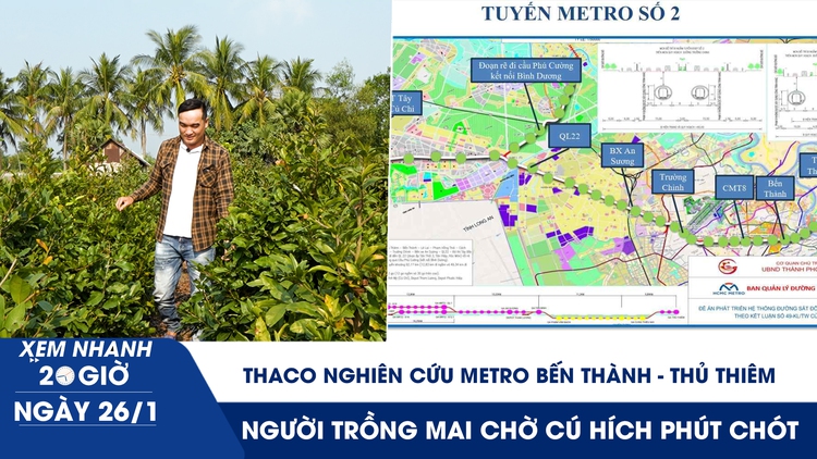 Xem nhanh 20h ngày 26.1: Thaco nghiên cứu metro Bến Thành - Thủ Thiêm | Người trồng mai chờ cú hích phút chót