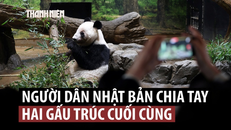 Người Nhật bịn rịn tạm biệt gấu trúc: 'Hít thở cùng bầu không khí' cũng vui