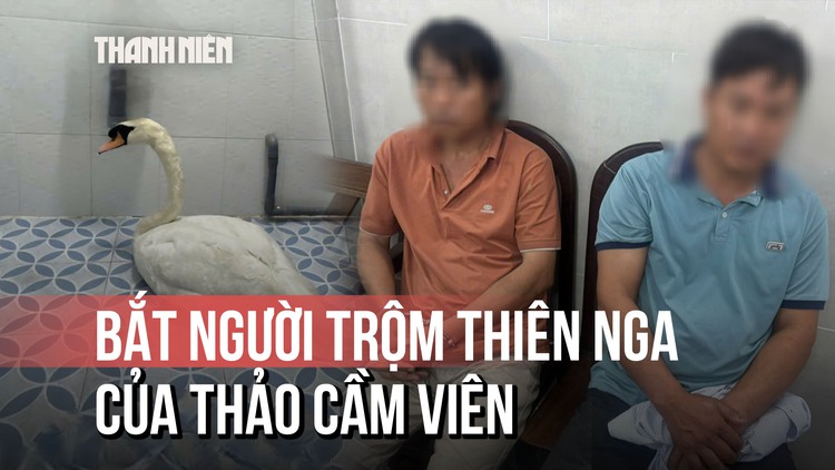 Bắt giữ người trộm thiên nga của Thảo Cầm Viên
