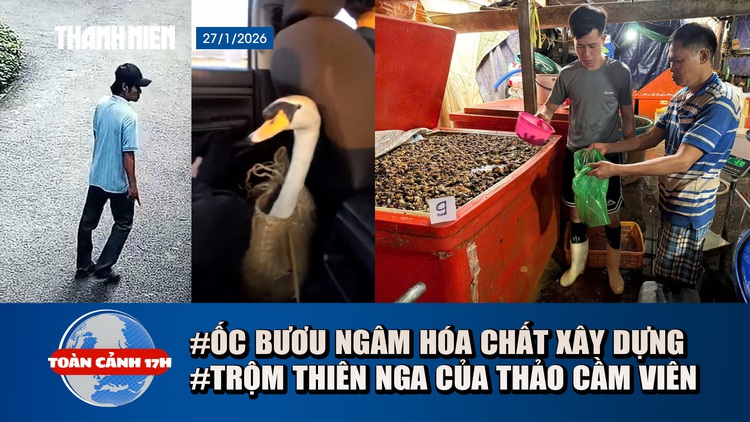 Toàn cảnh 17h: Hãi hùng 3.000 tấn ốc bươu ngâm hóa chất | Bắt người trộm thiên nga của Thảo Cầm Viên