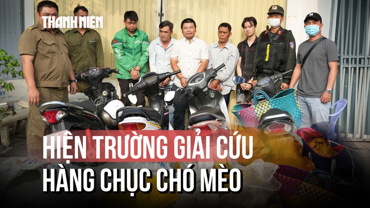 Hiện trường ám ảnh giải cứu hàng chục chó mèo trong túi chờ ngày tiêu thụ