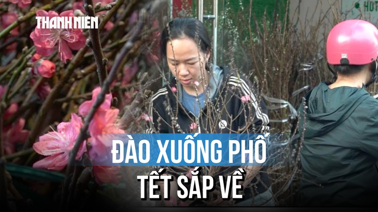 Người dân TP.HCM sắm đào sớm đón tết