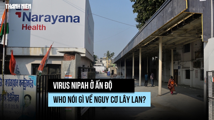 Virus Nipah ở Ấn Độ: WHO nói gì về nguy cơ lây lan?
