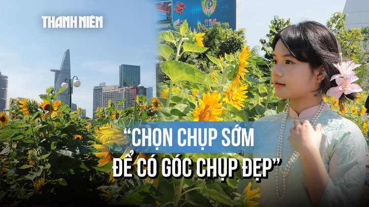 'Giải mã' vườn hoa hướng dương ven sông Sài Gòn: Lý do nô nức chụp ảnh sớm đầu năm