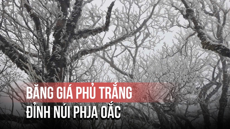 Không khí lạnh cường độ mạnh ở Cao Bằng: Đỉnh núi Phja Oắc phủ băng giá