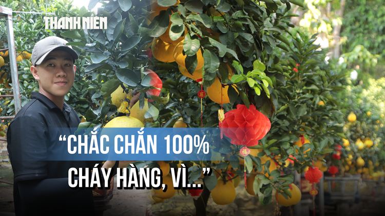 Bưởi Diễn rực vàng đường ở TP.HCM: Nhà vườn quả quyết 'cháy hàng 100%' vì...