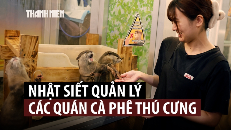 Vì sao các quán cà phê thú cưng tại Nhật Bản sẽ bị giám sát chặt hơn?