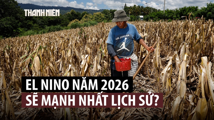 El Nino ngày càng nghiêm trọng, nhiệt độ Thái Bình Dương lập kỷ lục