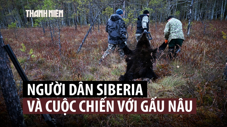 Gấu 'lộng hành', thợ săn Siberia quyết định hành động