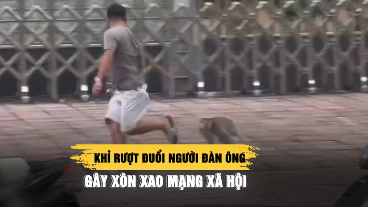 Khỉ rượt đuổi người đàn ông ở TP.HCM gây xôn xao mạng xã hội