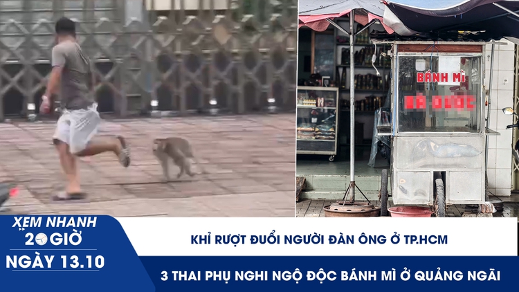Xem nhanh 20h ngày 13.10: Khỉ rượt đuổi người đàn ông ở TP.HCM | 3 thai phụ nghi ngộ độc bánh mì ở Quảng Ngãi