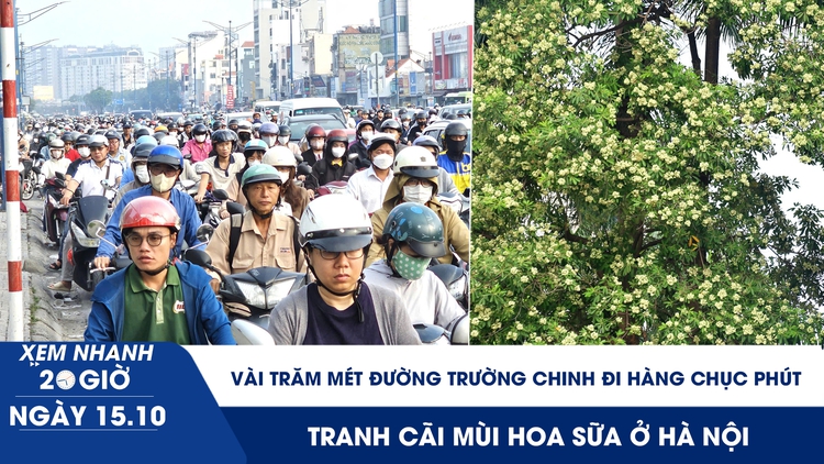 Xem nhanh 20h ngày 15.10: Vài trăm mét đường Trường Chinh đi hàng chục phút | Tranh cãi mùi hoa sữa ở Hà Nội