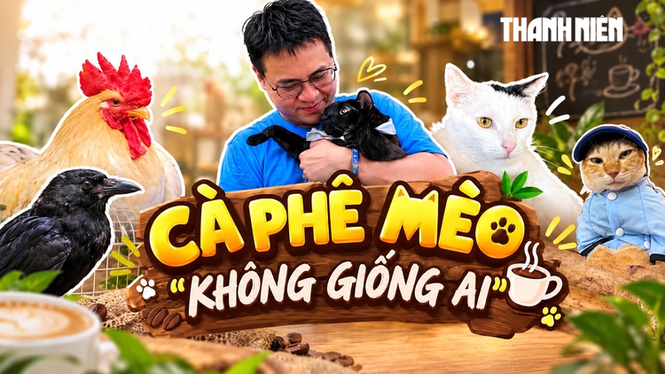 Cà phê mèo 'không giống ai' ở TP.HCM: Những hành trình hồi sinh kỳ diệu
