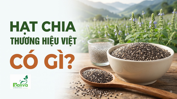 Cùng sống xanh 168: Vì sao hạt chia trồng tại Việt Nam có chất lượng top đầu thế giới?