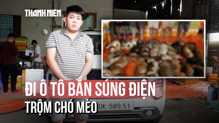 Đi ô tô vác súng kích điện 'săn' trộm chó: Lộ diện bà trùm tuồn 10 tấn thịt ra thị trường