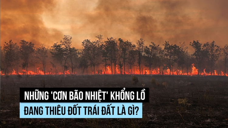 Nhiều 'cơn bão nhiệt' khổng lồ đang thiêu đốt trái đất, vì sao?