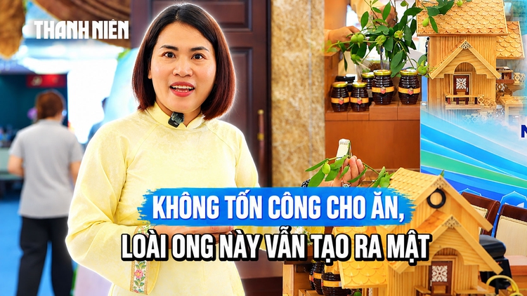 Không phải nông dân, người phụ nữ khởi nghiệp với đàn ong 'không cần cho ăn'