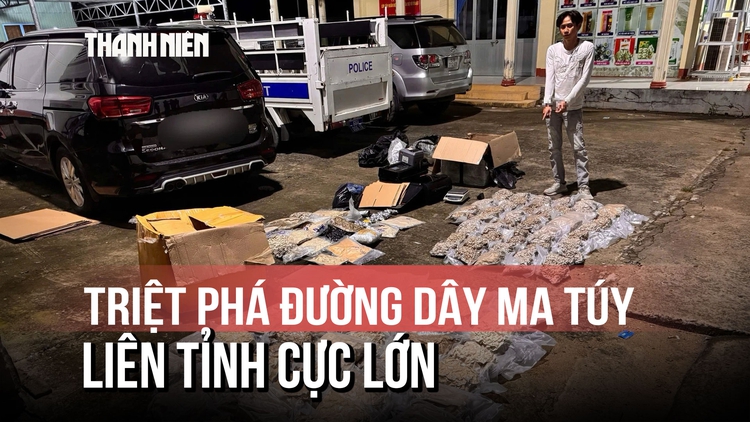 Lần theo dấu vết quán bar: Bóc gỡ đường dây cần sa liên tỉnh, bắt 151 người