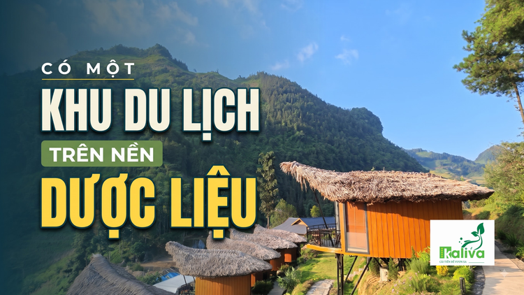 Cùng sống xanh 171: Có một khu du lịch trên nền dược liệu