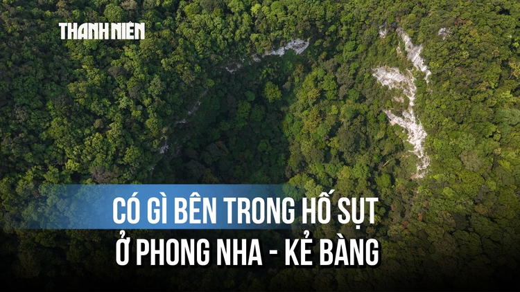 Kỳ bí hố sụt sâu 120 mét ở Phong Nha - Kẻ Bàng: Cả khu rừng nguyên sinh và hàng triệu vỏ sò