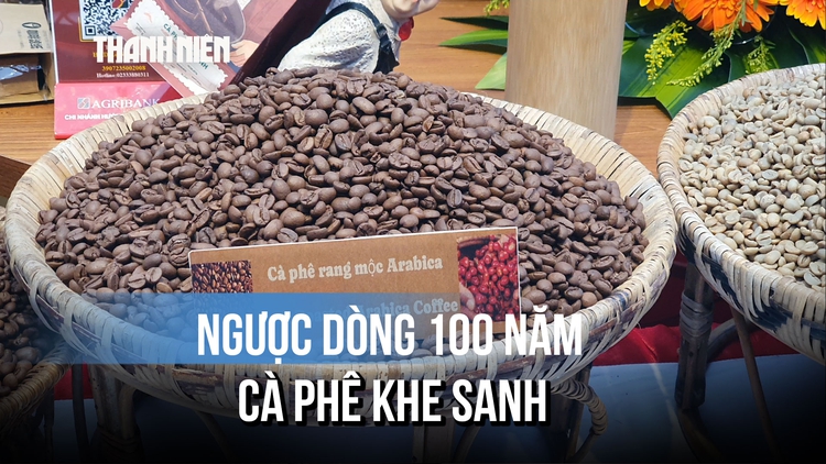 Ngược dòng 100 năm cà phê Khe Sanh, thưởng thức hương vị giữa miền đất Quảng Trị