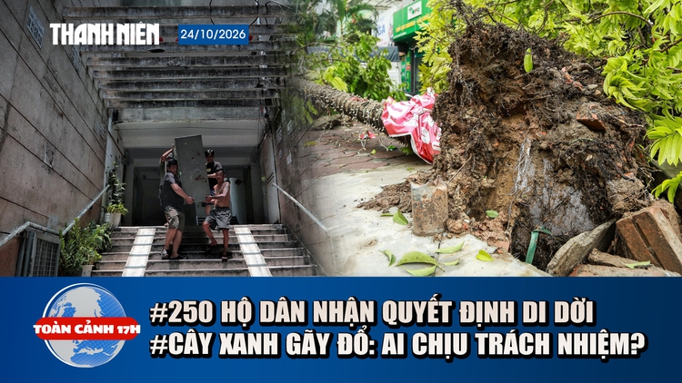 Toàn cảnh 17h: 250 hộ cư xá Thanh Đa nhận quyết định cưỡng chế | Cây đổ đè tài sản: Ai phải bồi thường?