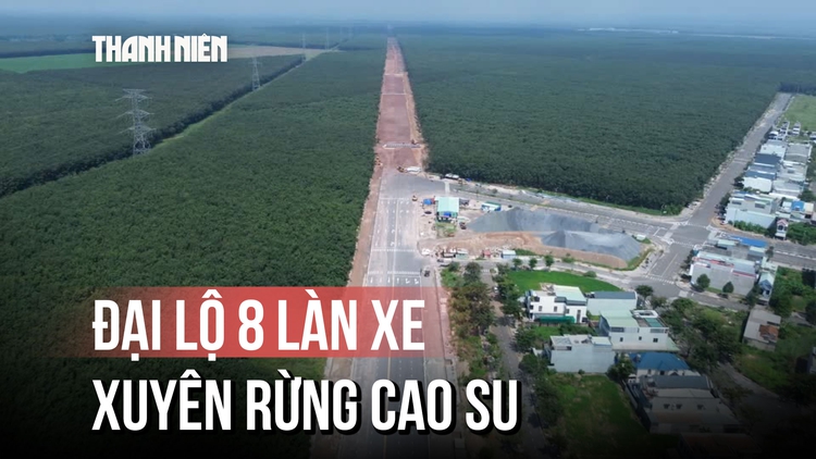 Cận cảnh đại lộ 8 làn xe xuyên rừng cao su kết nối sân bay Long Thành