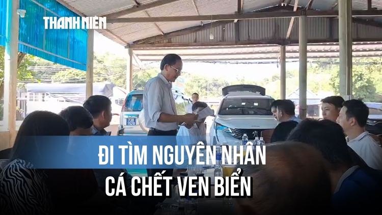 Lập đoàn kiểm tra, tìm nguyên nhân cá chết bất thường ven biển Quảng Trị