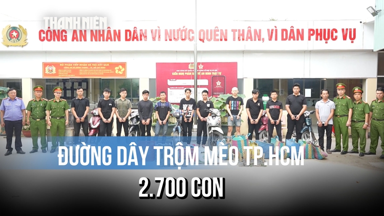 Bắt giam 'ông trùm' đường dây trộm mèo ở TP.HCM