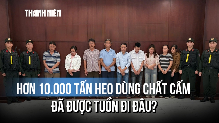 Kinh hoàng đường dây vỗ béo heo bằng chất cấm, hơn 10.000 tấn đã ra thị trường?
