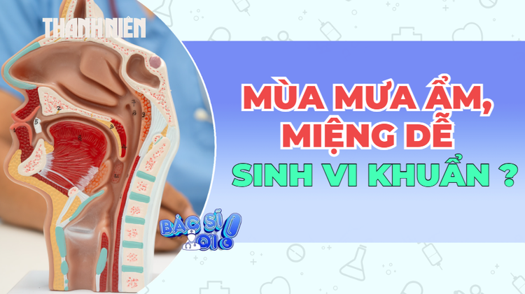 Mùa mưa ẩm: Thời điểm vi khuẩn, nấm trong miệng dễ 'bùng phát'