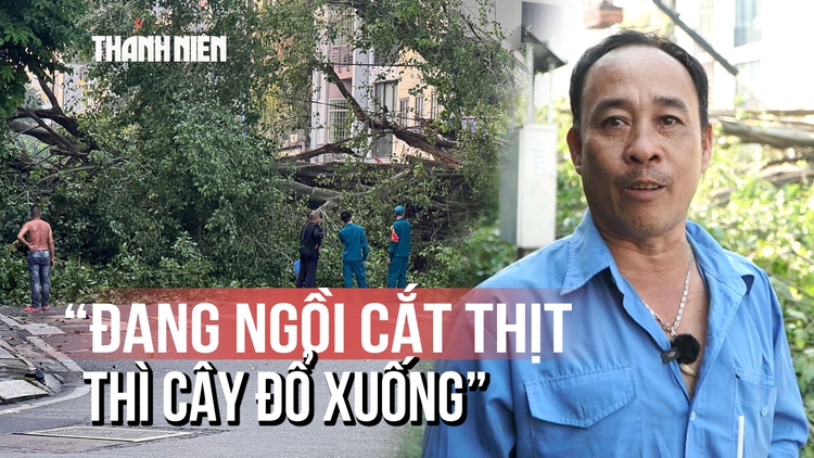 Lời kể khoảnh khắc cây lớn đổ ngang đường: 'Tôi bỏ chạy, khoảng 3 - 4 giây là cây ngã xuống'