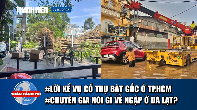 Toàn cảnh 17h: Lời kể lúc tháo chạy khi cây 20m đổ sập ở TP.HCM | Vì sao Đà Lạt mưa lớn ngập nhanh, rút nhanh?