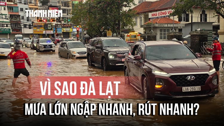 Đà Lạt ngập nhanh, rút nhanh sau mưa lớn: Bê tông hóa và nhà kính tác động ra sao?