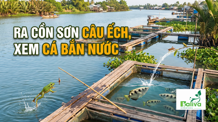 Cùng sống xanh số 169: Tạo nhiều trò chơi trên bè nuôi cá để giữ ký ức với ông bà