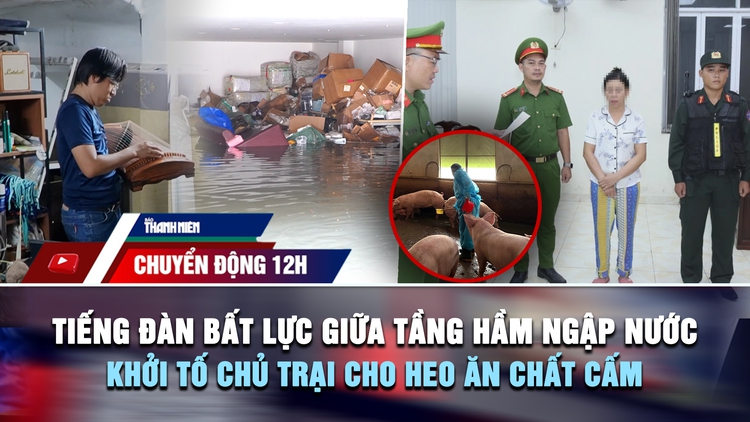 Chuyển động 12h: Tiếng đàn bất lực giữa tầng hầm ngập nước | Khởi tố chủ trại cho heo ăn chất cấm