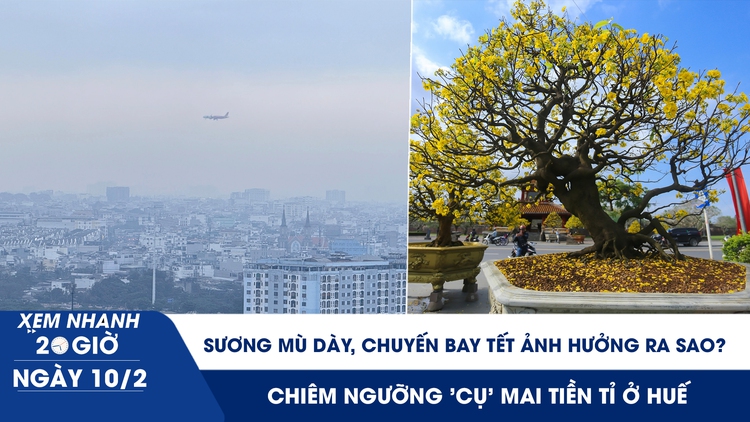 Xem nhanh 20h ngày 10.2: Sương mù dày, các chuyến bay tết ảnh hưởng ra sao? | Chiêm ngưỡng 'cụ' mai tiền tỉ ở Huế
